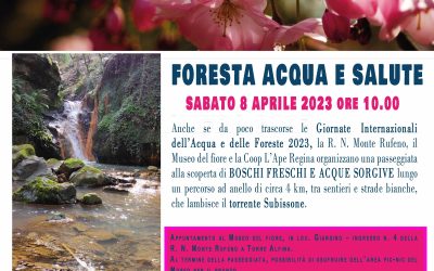 Foresta Acqua e Salute 8 aprile